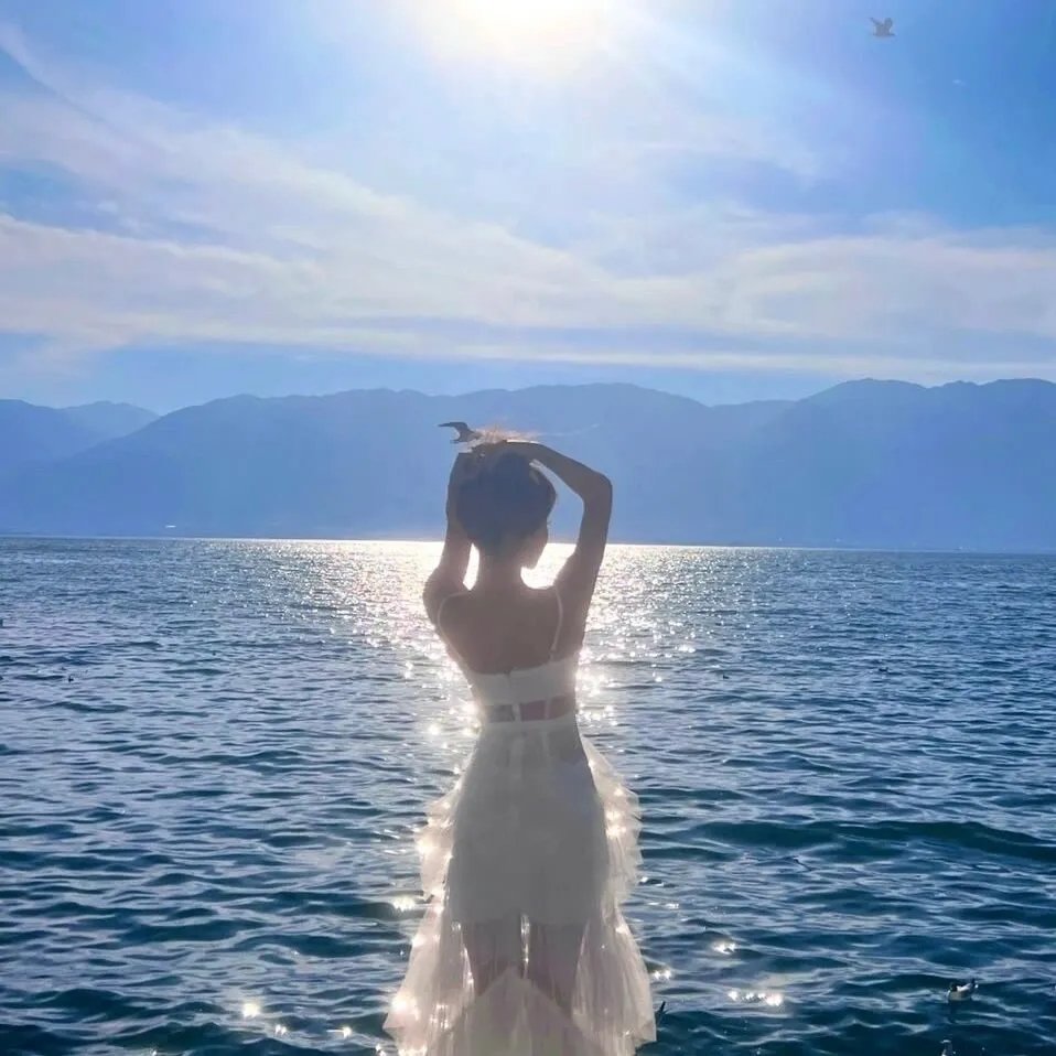 非法移民（电影） 海报