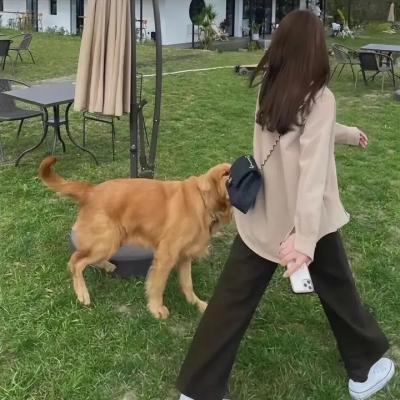 影帝的公主 海报
